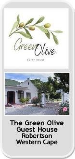 Green Olive Guest House