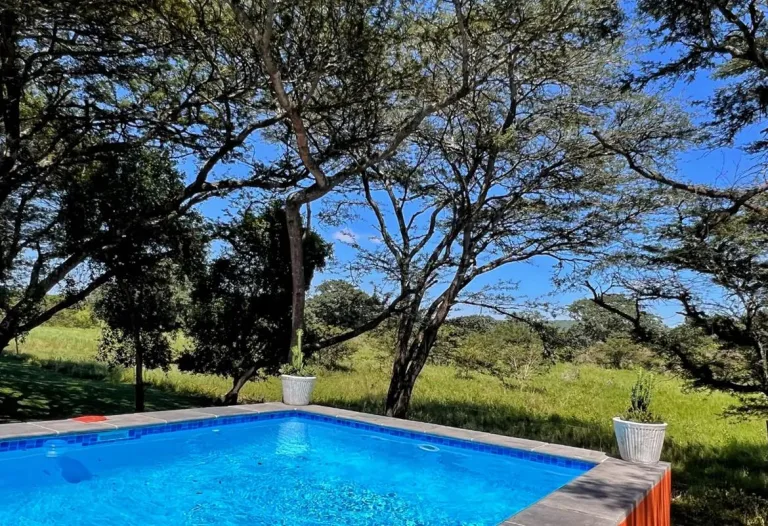 Thula Thula Private Game Lodge