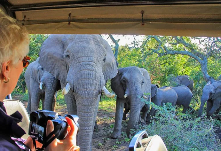 Thula Thula Private Game Lodge